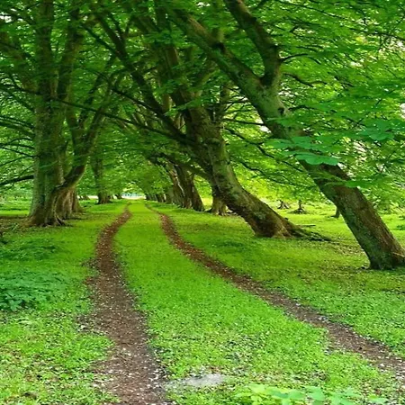 In Nahe Der Ostsee *